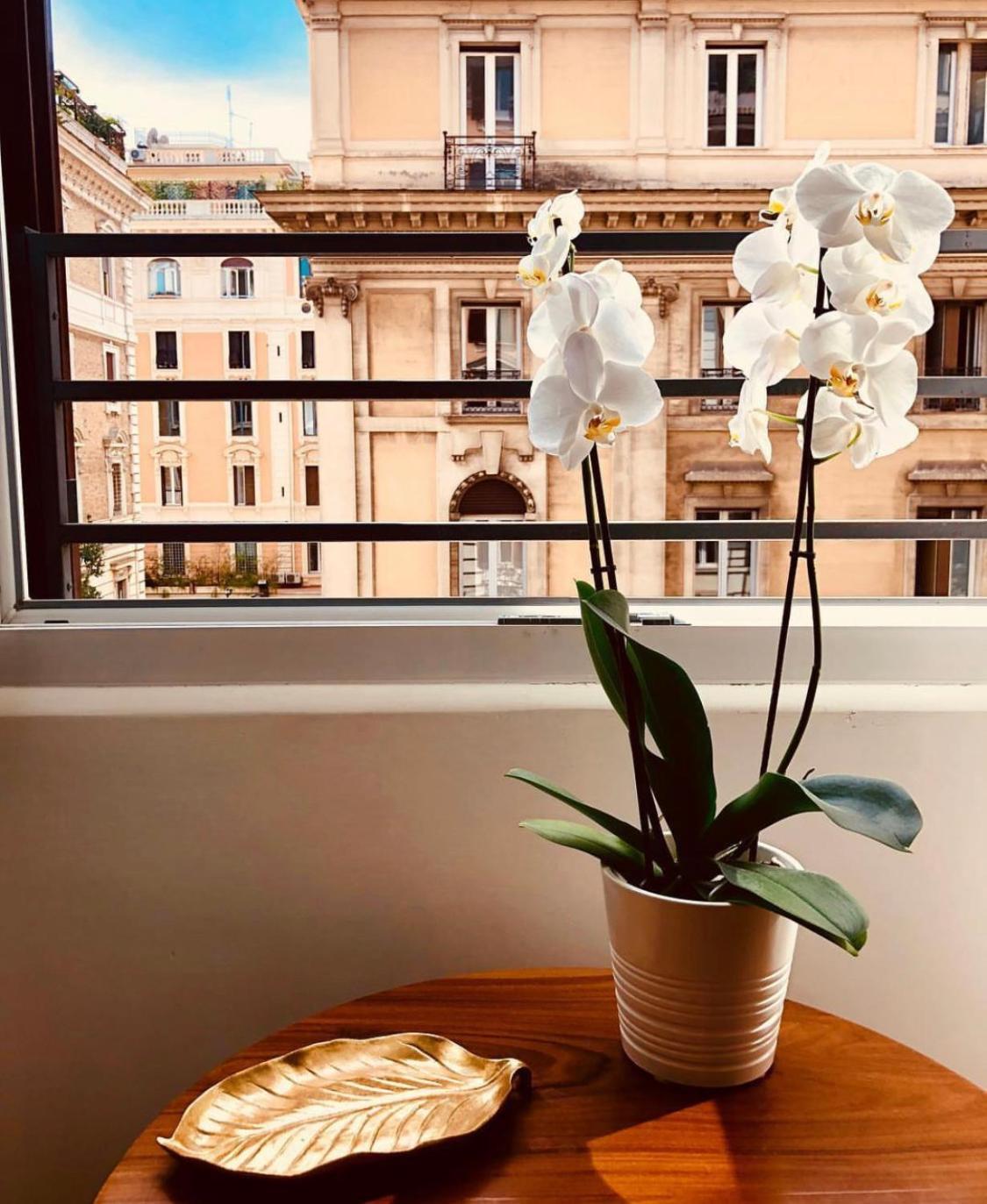 Bed and Breakfast 900 Piazza del Popolo Roma Esterno foto